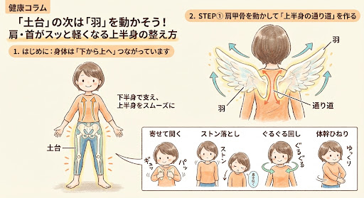 肩甲骨のストレッチの様子