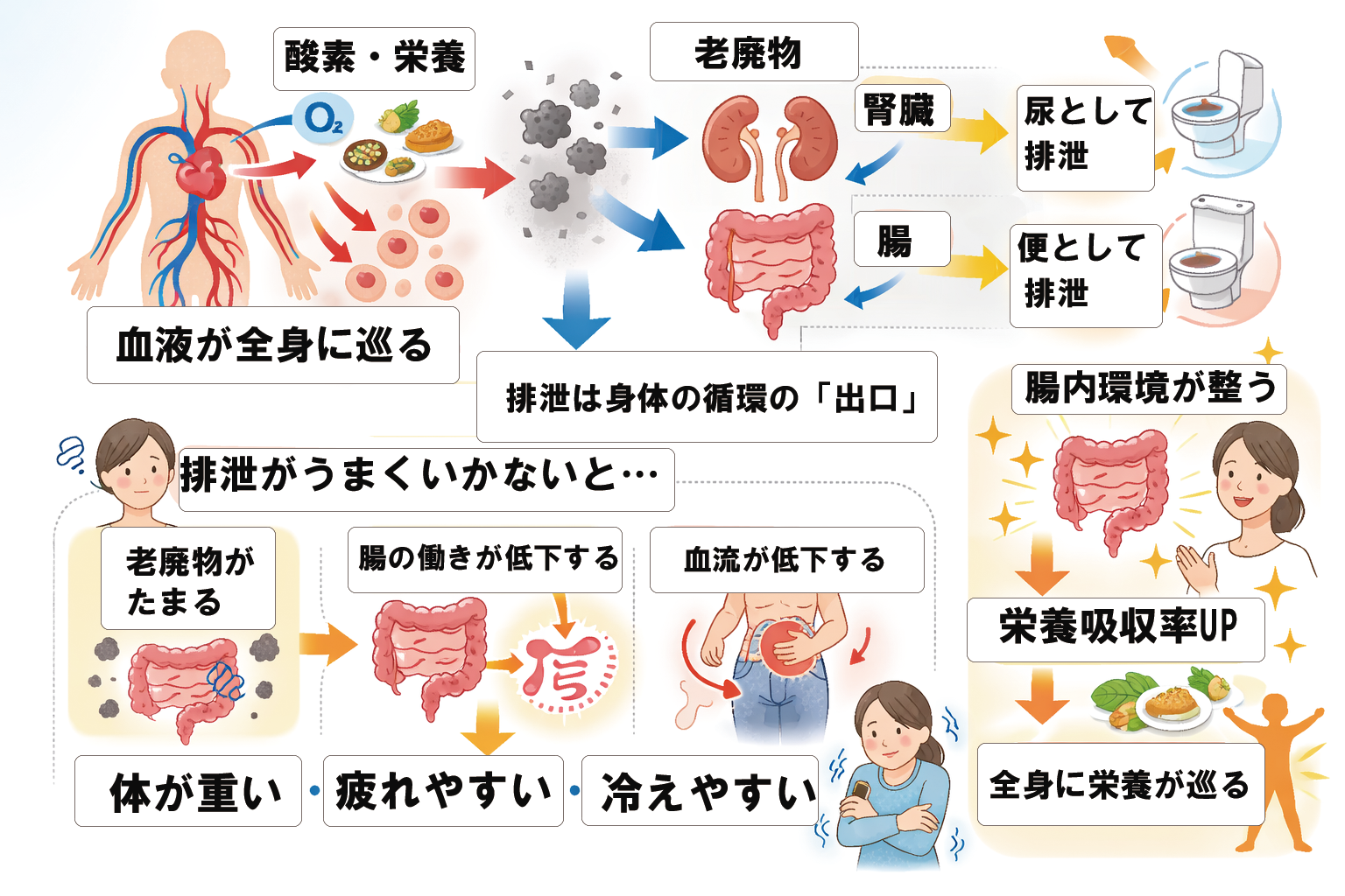 腰の痛みは体からの警告