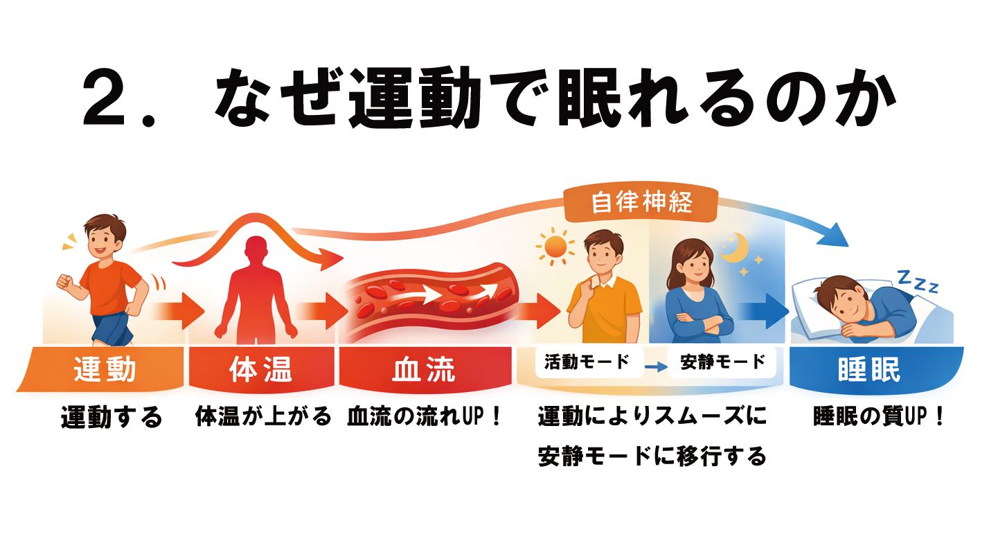 運動から睡眠までの流れ