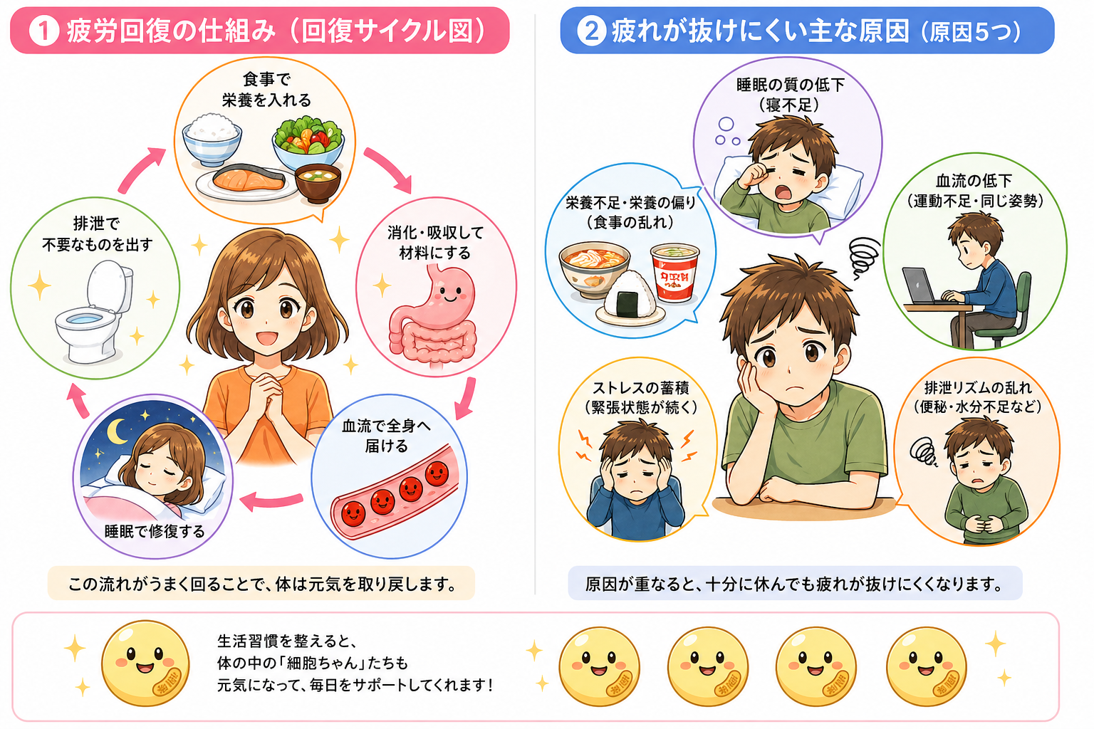 運動から睡眠までの流れ